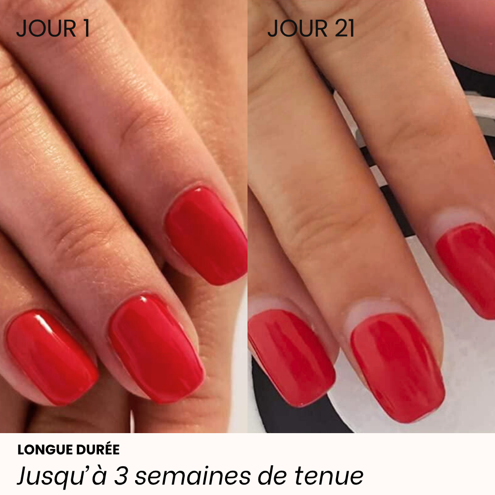 PACK DÉCOUVERTE