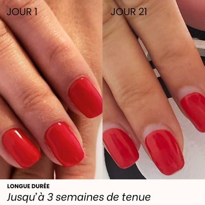PACK DÉCOUVERTE