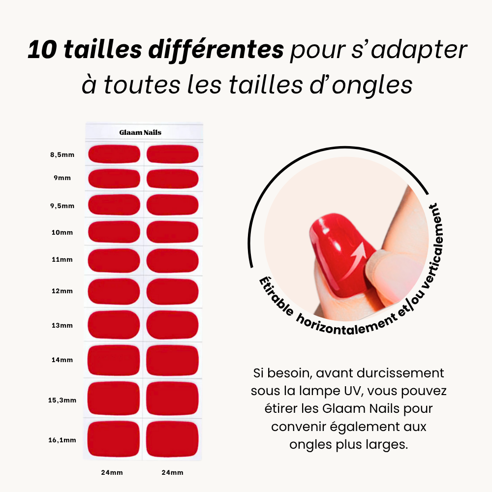PACK DÉCOUVERTE