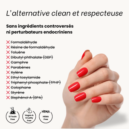 PACK DÉCOUVERTE